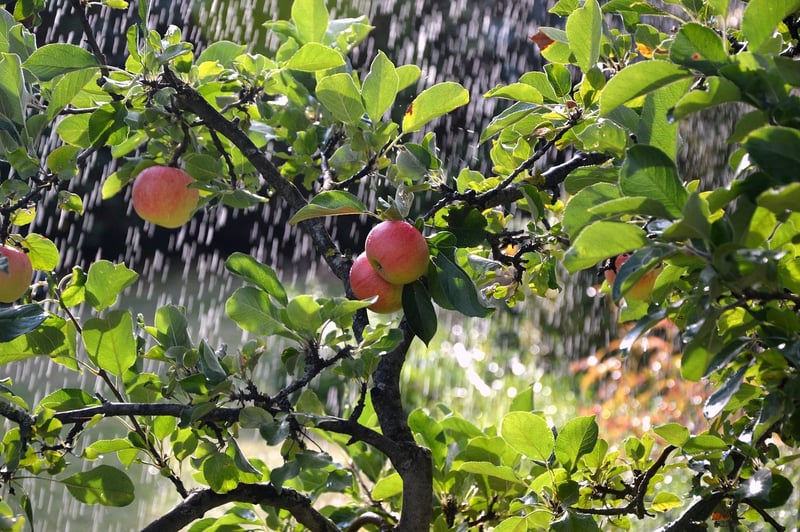 Irrigation Methods