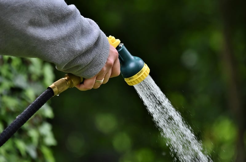 Drip Irrigation