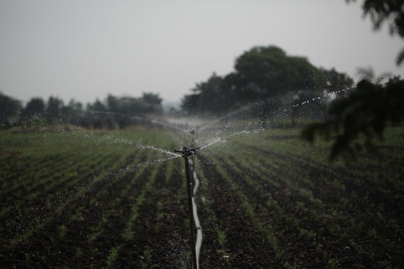 Sprinkler Irrigation